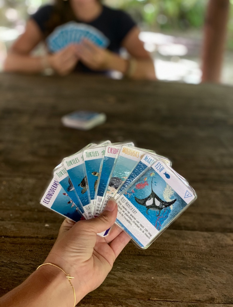 seven happy families card game