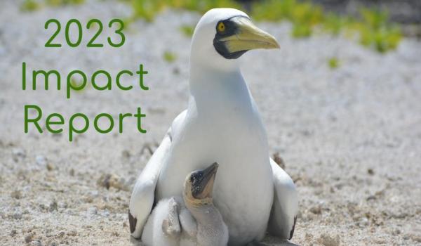 2023 impact report