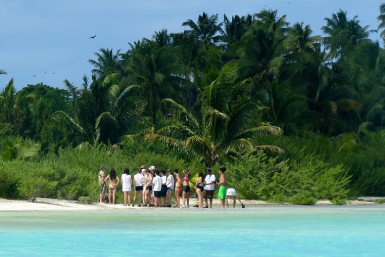 atoll écosysteme
