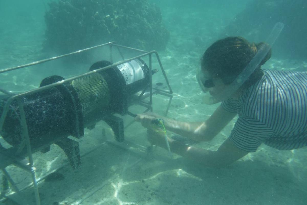 Undersea instruments that autonomously measure pH, oxygen, and other chemical indicators of reef health.