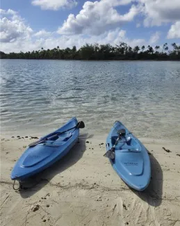 kayaks