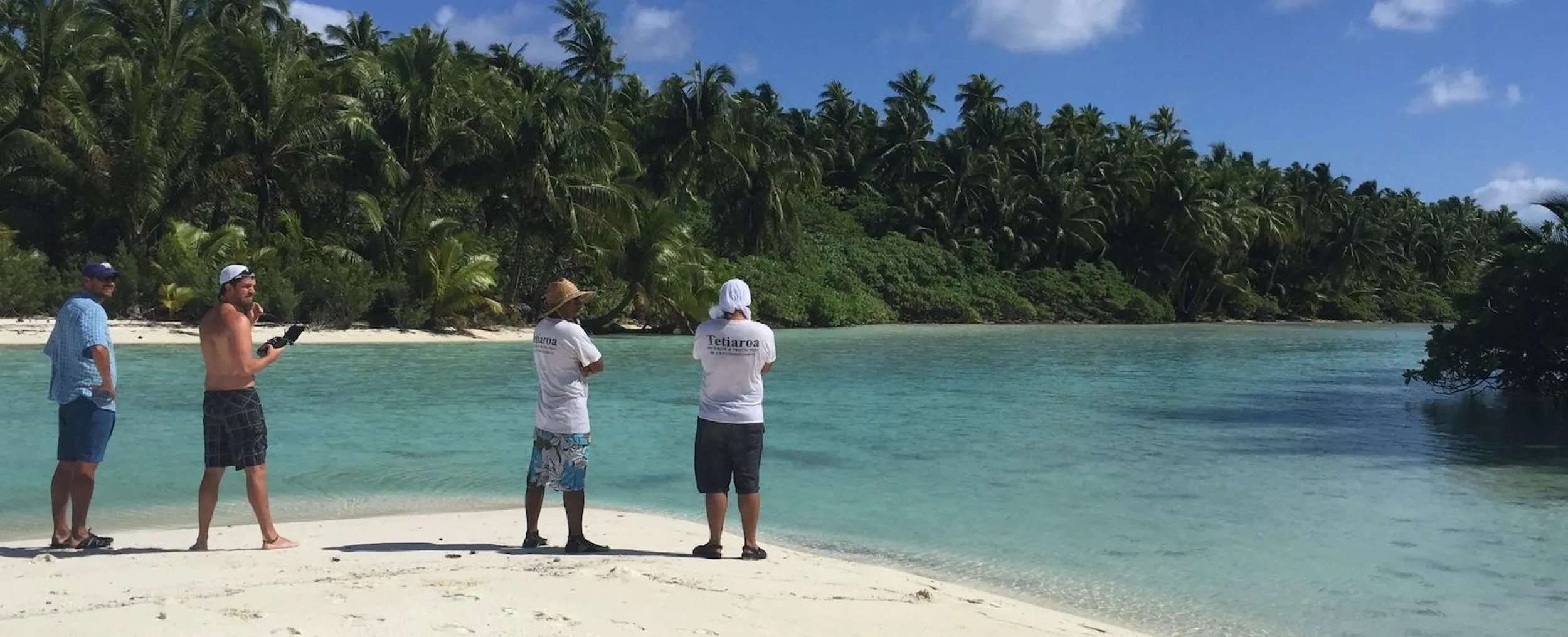 shark study on Tetiaroa