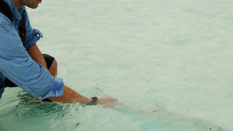 researcher with a bonefish