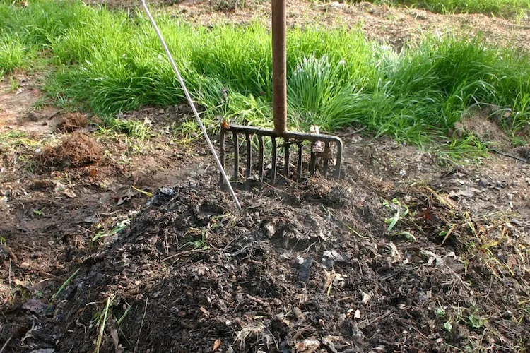 compost pile