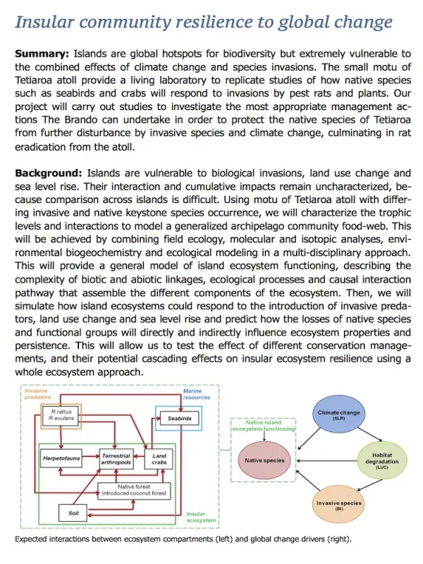 read the pdf: Island restoration - rat eradication program