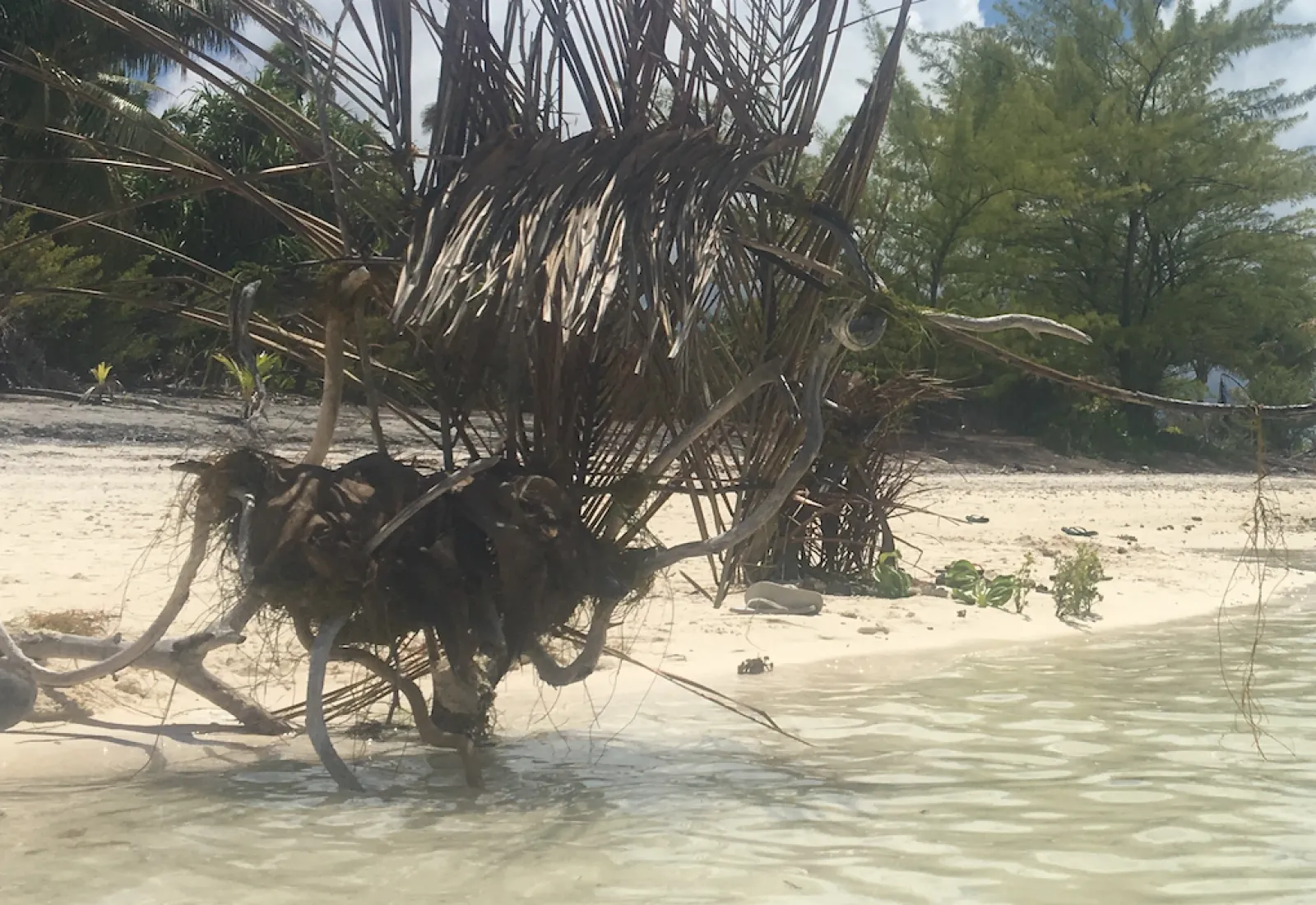 erosion and beach construction