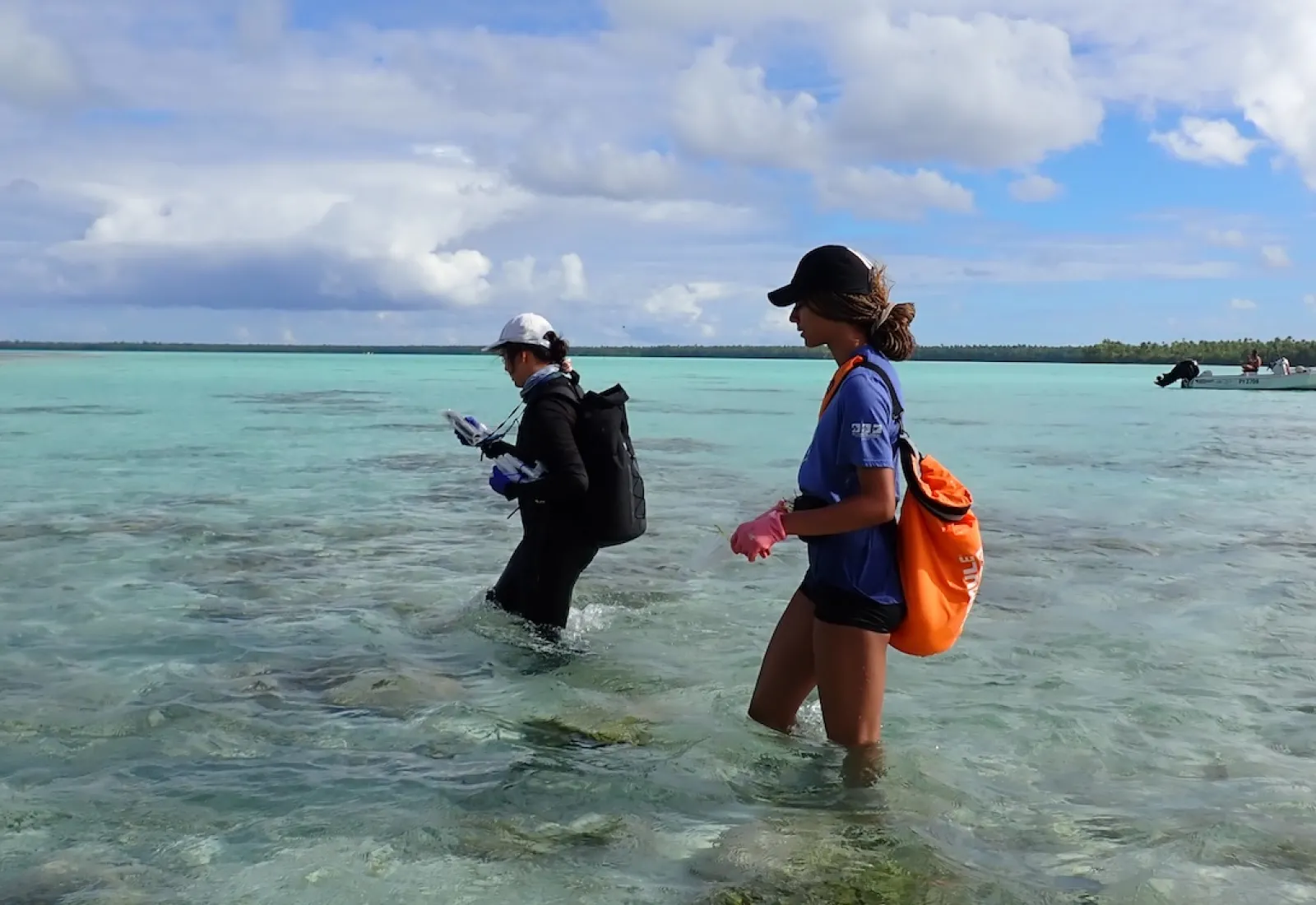 sampling in the lagoon