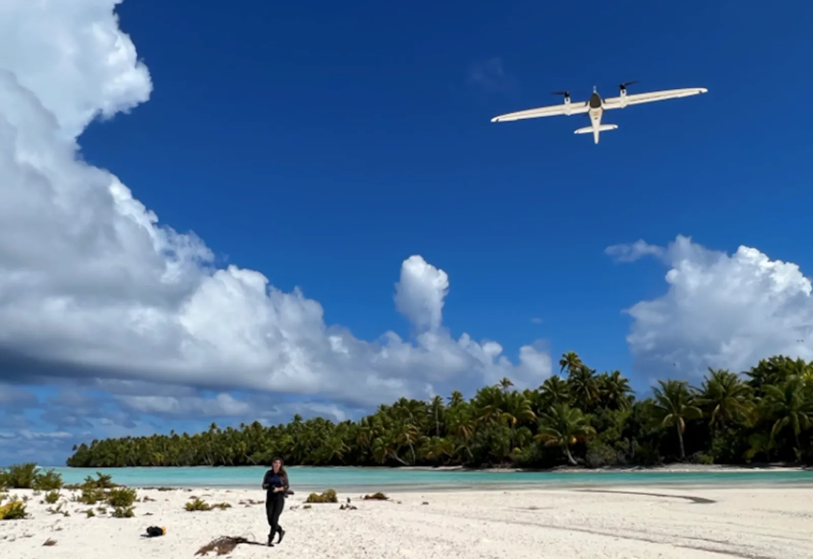 drone surveying the forest