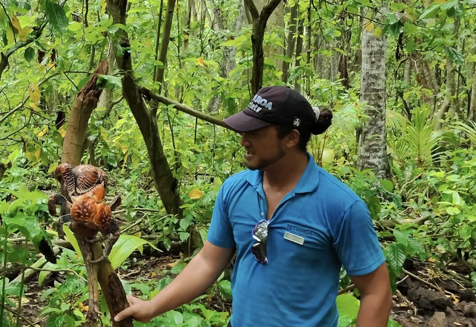 Tihoni showing a coconut crab to atoll visitors