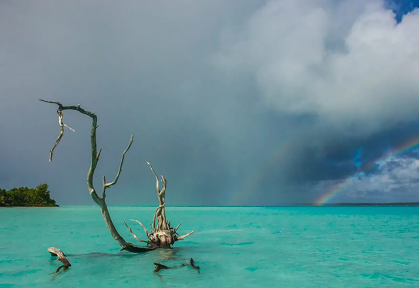 in the lagoon