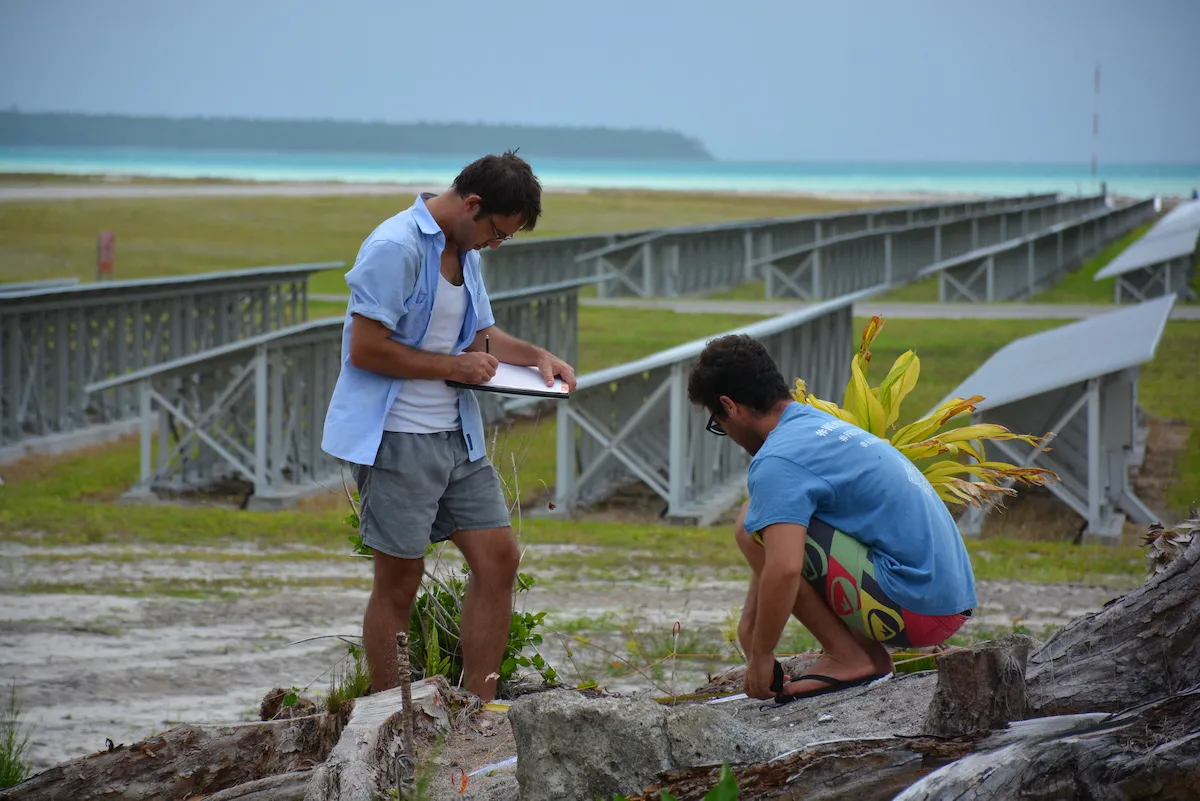 mapping a site on motu Onetahi, Tetiaroa