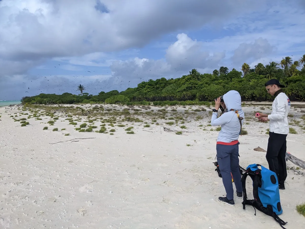 The UW seabird team on Tetiaroa