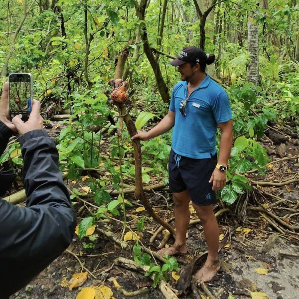 Finding a coconut crab in the forest