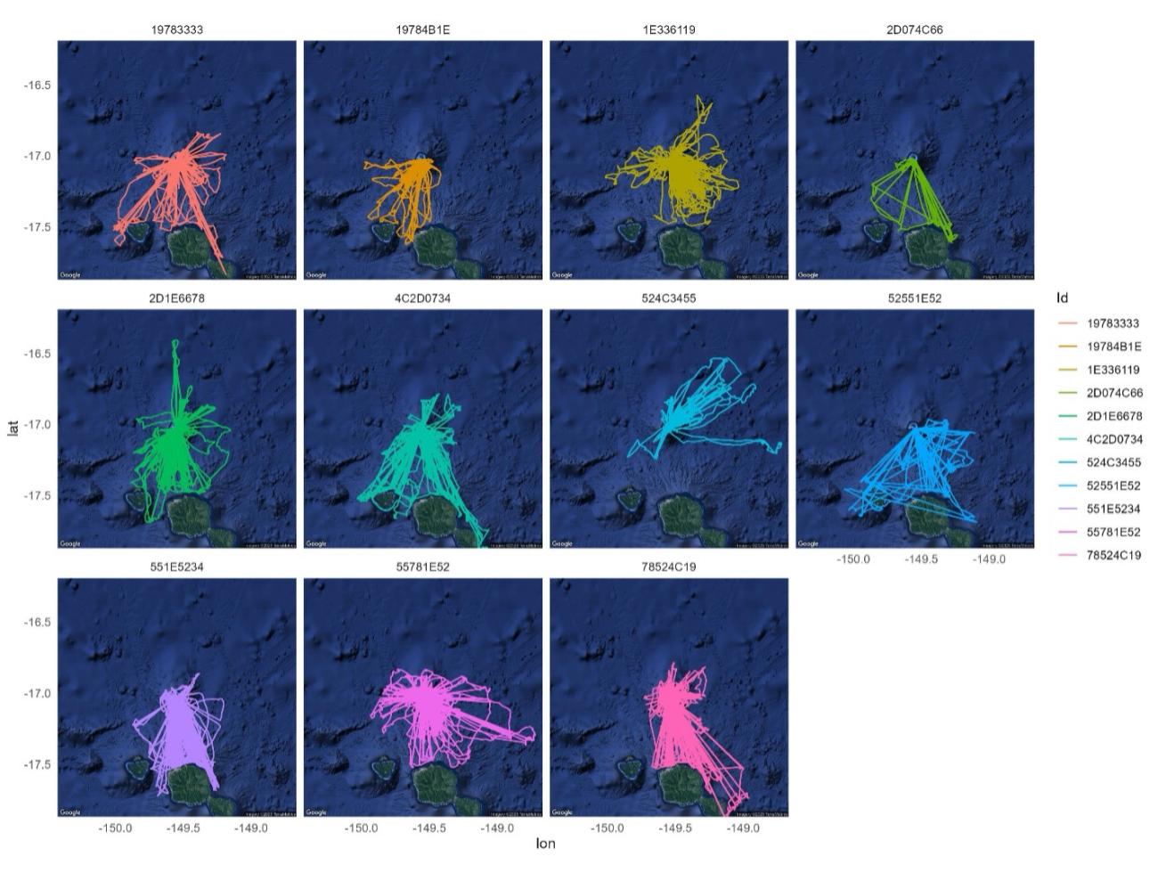 gps tracking of banded brown boobies