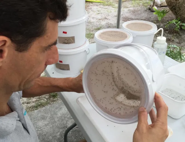 Hervé checking the buckets