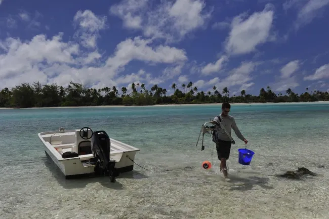 Returning to the Motu after a day of shark-watching