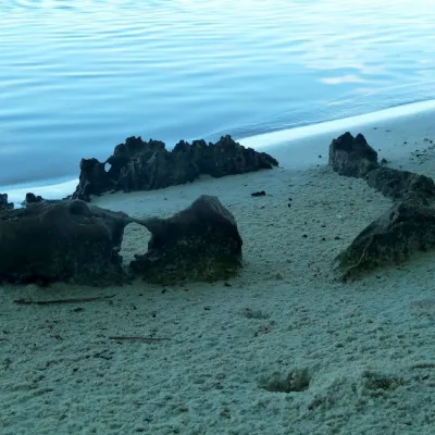 Marae on the beach on motu Horoatera