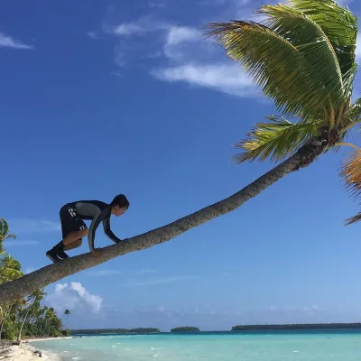 climbing a coconut tree